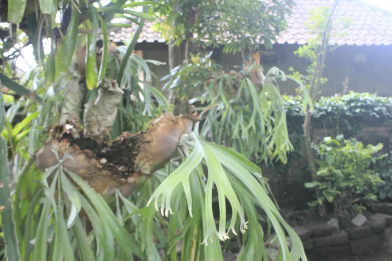 Umah De Arlika Ubud Exterior foto