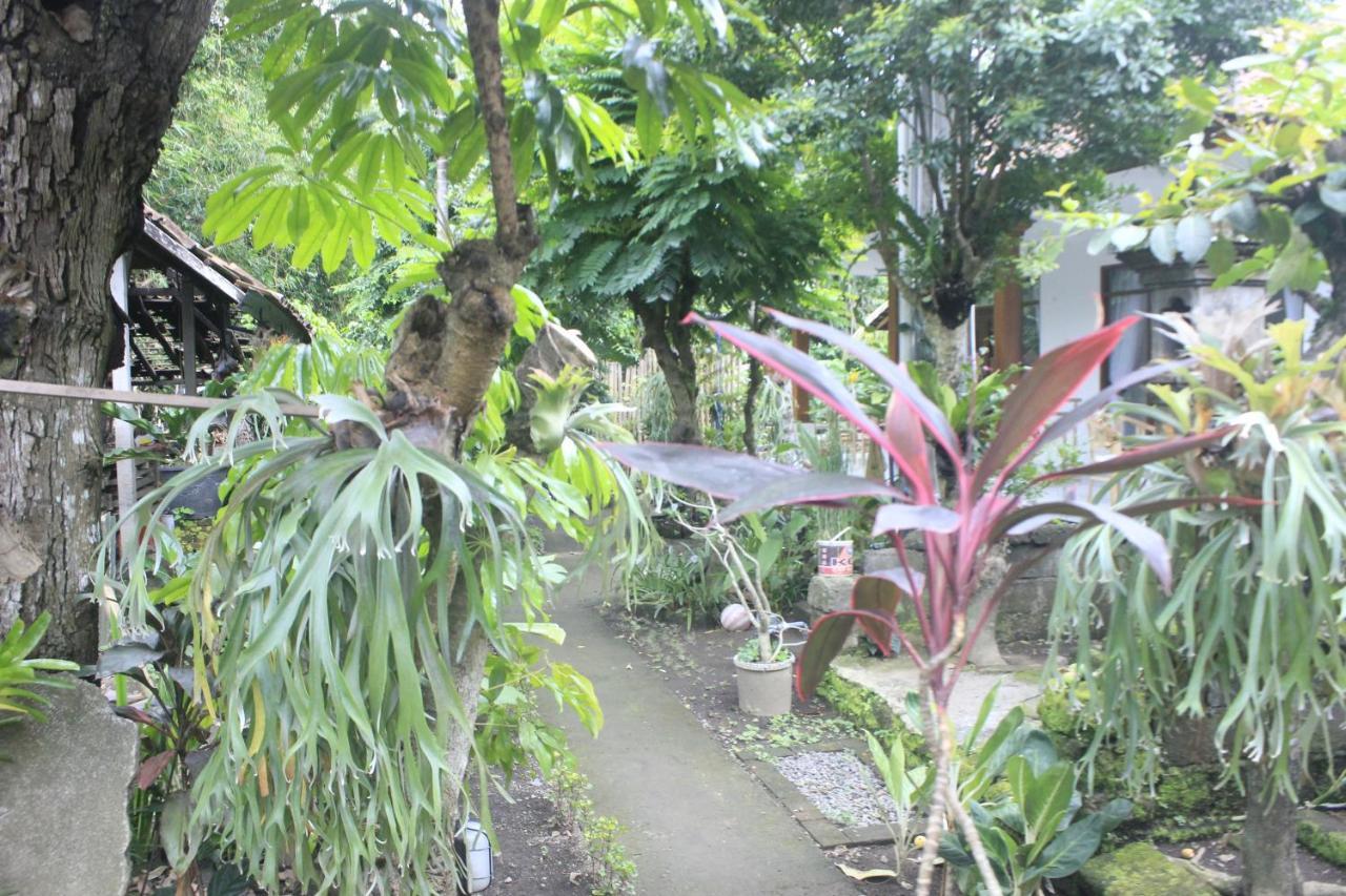 Umah De Arlika Ubud Exterior foto